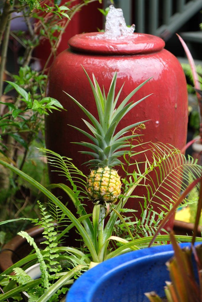 Memberships | Sunkissed Med Spa