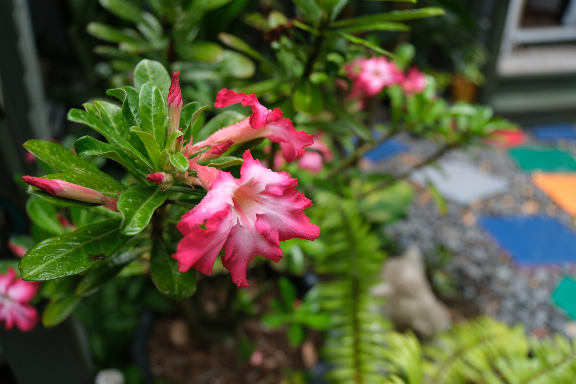 Sunkissed Med Spa photo 3